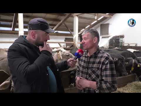 -Farma muznih krava Kmetije Malenšek u Sloveniji -