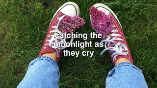 The Fratellis - Stragglers Moon (lyrics)