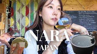 Japan Travel Vlog in Nara🦌｜Relaxing Birthday Trip