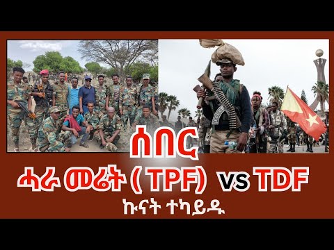 ሰበር ፡ መሕዘኒ ኩናት አብ መንጎ TDF ን ሓራ መሬት TPF : ሂወት ሰብ ጠፊኡ #tigraynews  #tigray #eritrea #ethioforumኢትዮፎረም