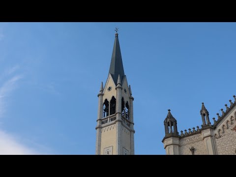 Campane del Duomo dei SS. Maria e Vitale di Montecchio Maggiore (VI) (02) - Distesa festiva | v.058