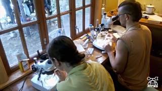 Ролик РГГМУ