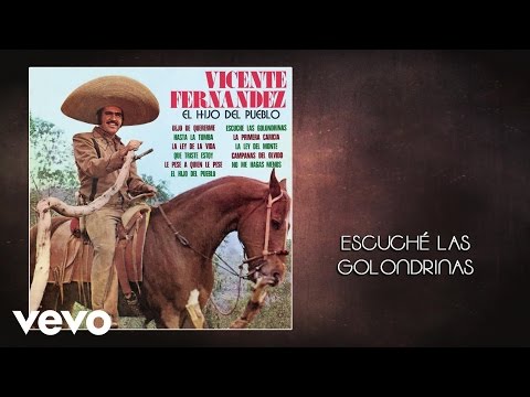 Escuche Las Golondrinas - Vicente Fernández