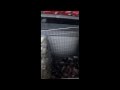 Duck Army Reversed Now With THX Surround Sound