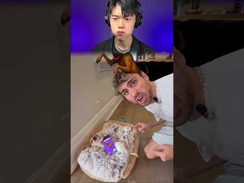 YouTube Thumbnail