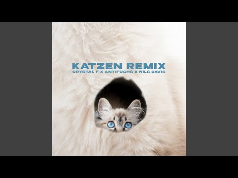 Katzen (Remix)