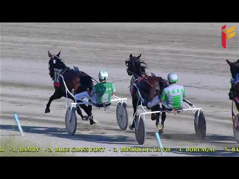 II Corsa del 18 Agosto 2021   Metri 1600   4 Anni