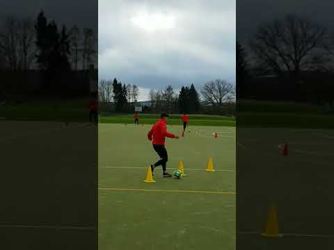 William site trainning mit SC BORUSSIA 04 FULDA (HESSEN deutschland) 2.Teil