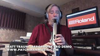 Video thumbnail for Roland AE-30 Aerophone Pro Demo by Matt Traum of Patchman Music by Patchman Music