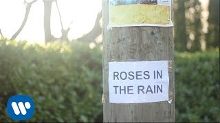 Buck 65 - Roses In The Rain (Feat. Adaline) - Official Lyric Video