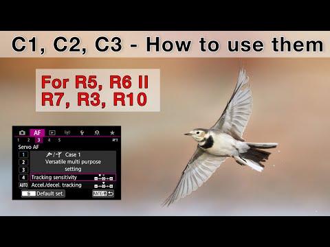 Get the most out of your camera! Custom shooting modes tutorial for Canon EOS R cameras