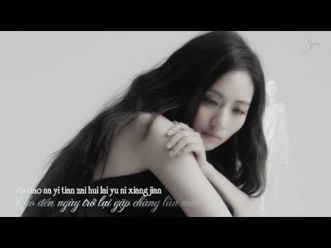 [Vietsub + Lyric] Cho đến ngày đó - Lưu Tích Quân || Nữ Y Minh Phi Truyện OST