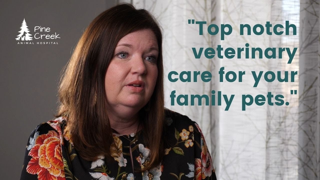 Top Notch Veterinary Care for Your Dog [2021]