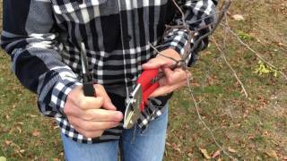 Bypass Pruners vs. Anvil Pruners