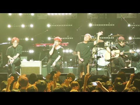 190831 넬(Nell) - 고양이 [NELL CLUB CONCERT 2019 XX 리앵콜] @하나투어 브이홀 [4K]