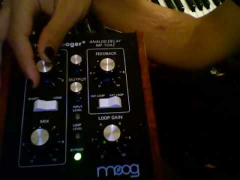 Moogerfooger Analog Delay MF-104Z Demo