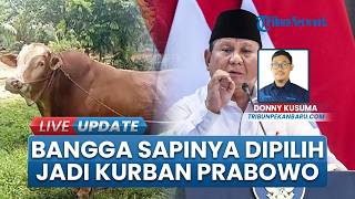 Bangganya Peternak Dumai seuai Sapinya Terpilih Jadi Sapi Kurban 2025 Presiden Prabowo