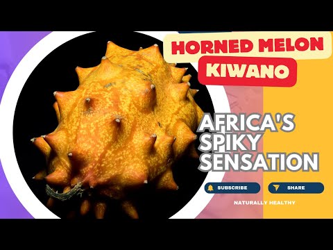 Horned Melon: Africa's Spiky (But Delicious!) Fruit