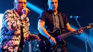 R.S.F. - Back To You