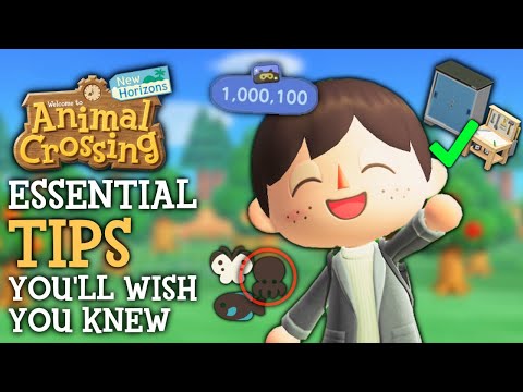 Must Know Tips I Wish I Knew Sooner - Animal Crossing?New Horizons