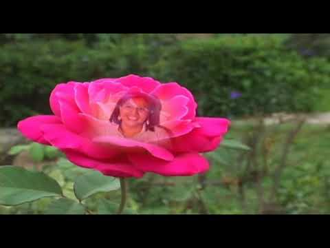 Los Pacharacos - Hermelinda