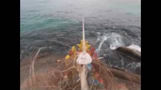 Allbrook Avery - Big Black Crack in the Sky