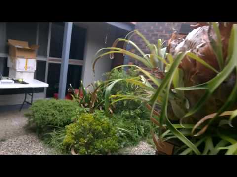 ArchieLuxury renames his studio - Compact Urban Nihilistic Transmission Studio