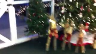Christmas stuff at mr green jeans 2013