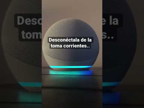 ⭕️ Solución a Alexa: Lo siento, estoy teniendo problemas para entenderte en este momento (luz roja).