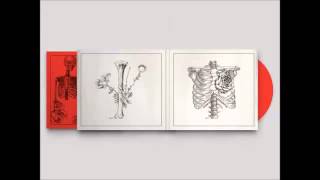 Coeur De Pirate   Trauma Lucille