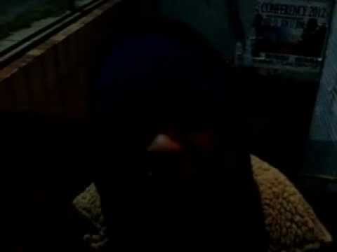 Kallitz se POES freestyle music video