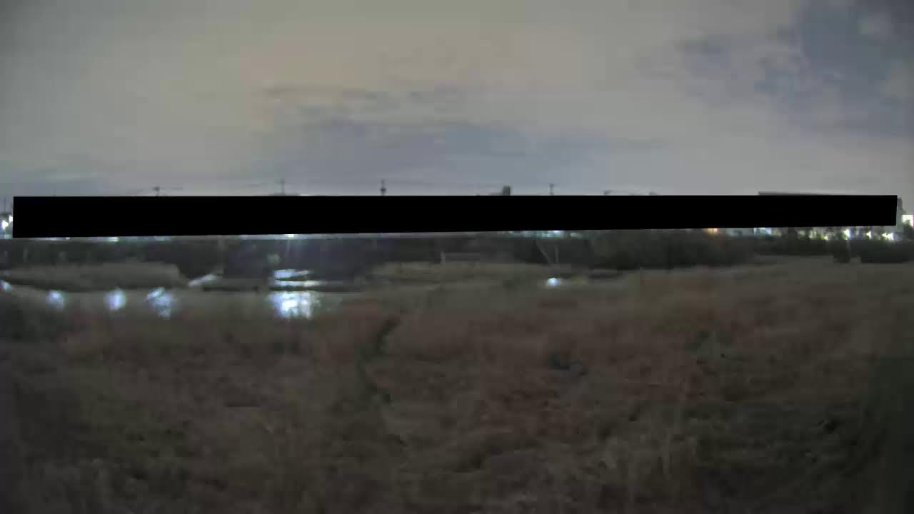 【秋川】東秋川橋（左岸）映像監視局［八王子市高月町］