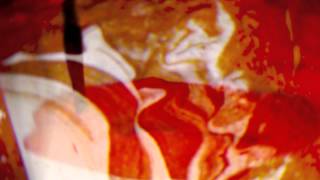 Ty Segall TWINS Commercial