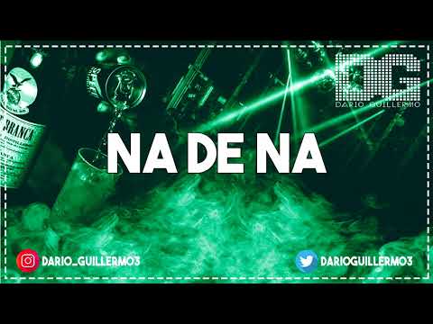 NA DE NA ✘ LATIN REMIX ✘ DJ DARIIO  #ReggaetonViejo