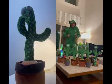 Original Dancing Cactus 🌵| Mimic Sound Dancing Cactus Toy | Review Video
