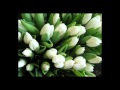 открытки плейкаст с днем рождения 