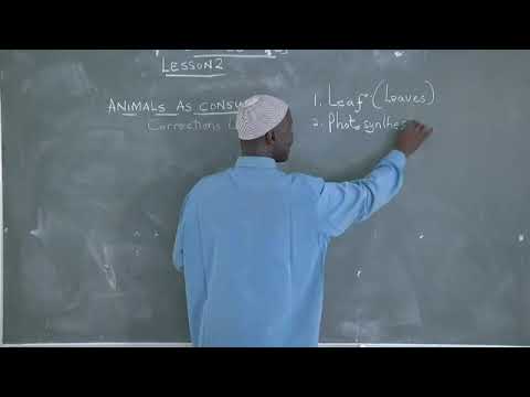 Ministry of Basic Education Science Lesson (5/5/20)