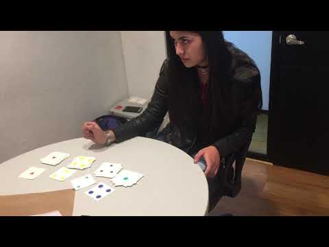 Aplicación de Test de Clasificación de Tarjetas de Wisconsin