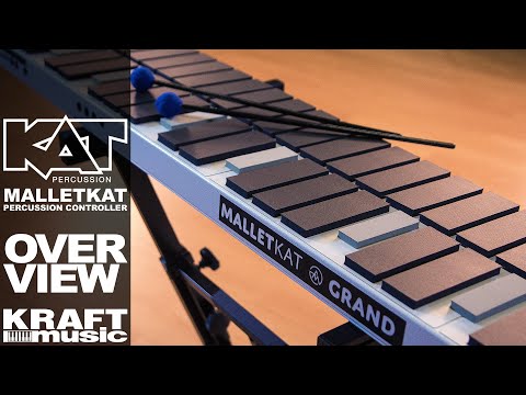 image-How do you play xylophone?