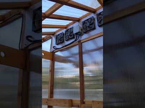 Roost and Root Greenhouse