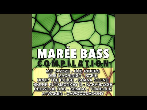 Dawood Sound System meets Moony (Pizza)