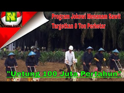 Potensi dengan makanan mentah Meningkatkan anggota realistis