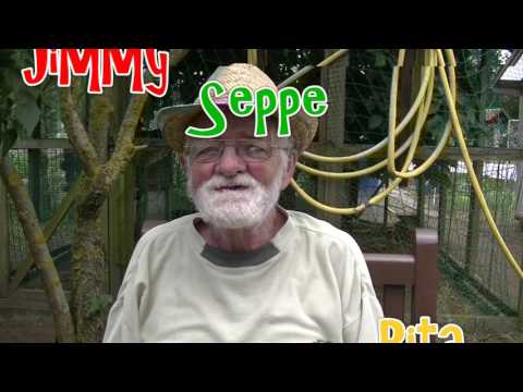 Het kiekekot van Jimmy Brands