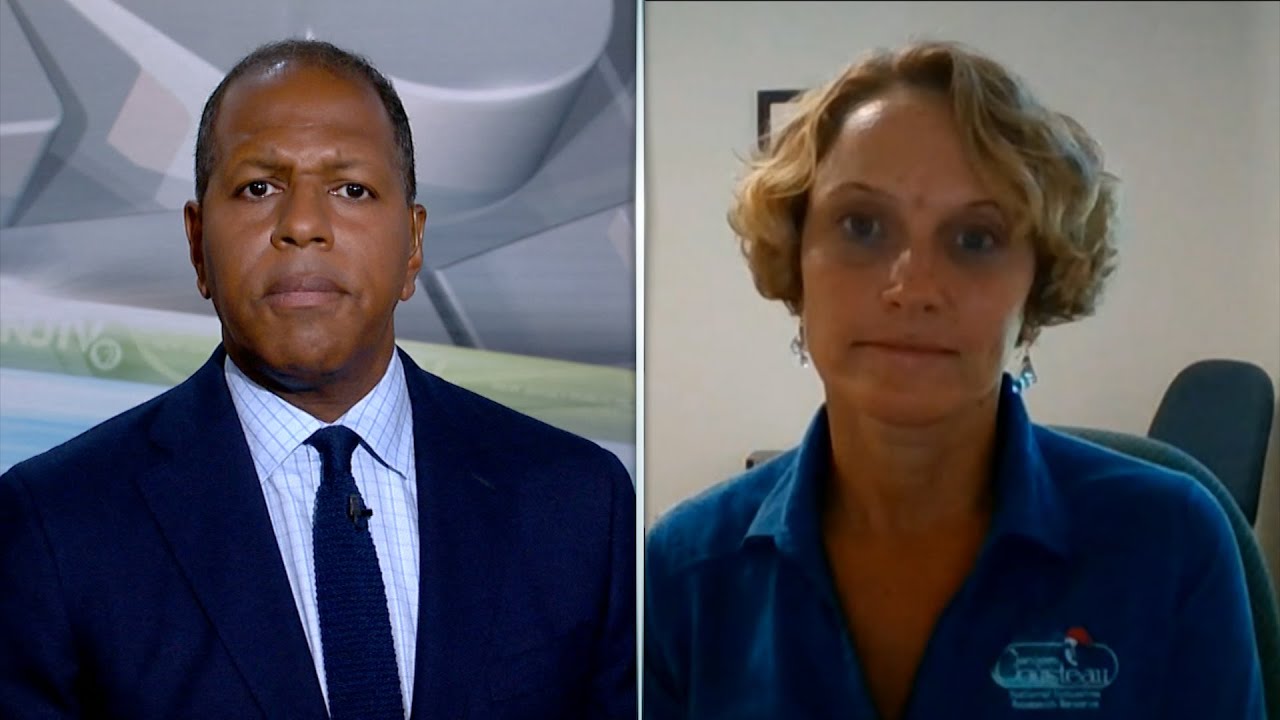 How you can help 'Capture the King Tide' this weekend