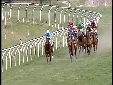 Galoppo 15/02/2019 - 3ª corsa