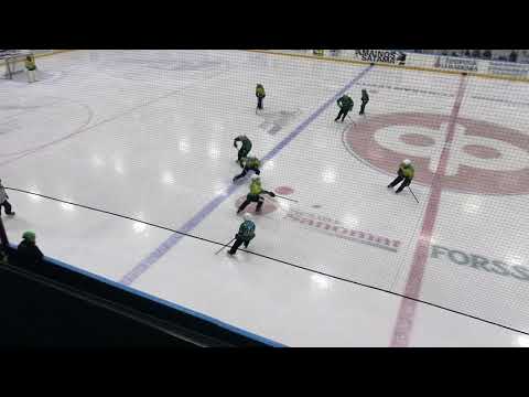 FoPS - Ilves Ringette E - 12.1.2019