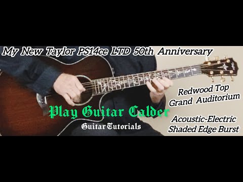 Taylor PS14ce LTD 50th Anniversary Guitar