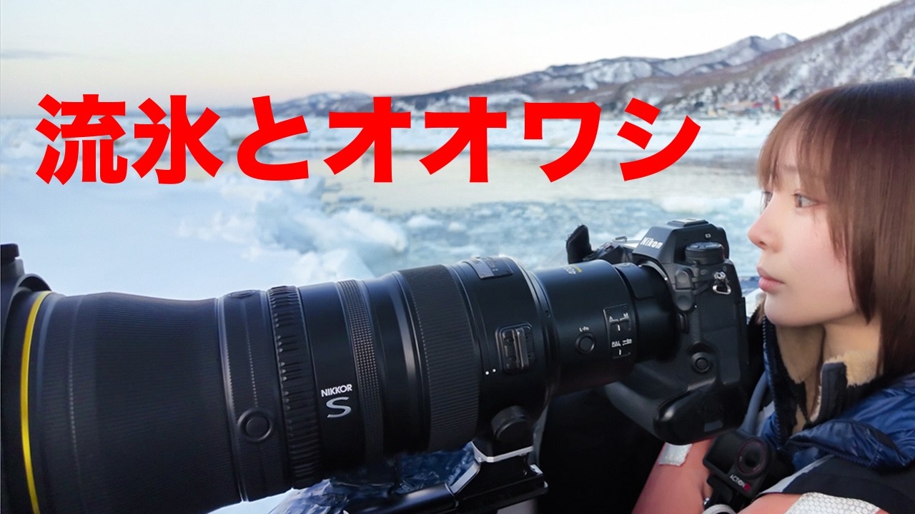 【オオワシ】超望遠レンズを持って流氷船に乗ってみました【羅臼】
