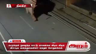 ஊருக்குள் நுழைந்த காட்டு யானையை விடிய விடிய விரட்டிய வனத்துறையினர் மற்றும் பொதுமக்கள்