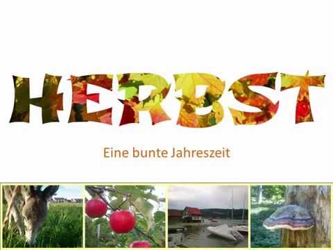 Germana pentru incepatori. Lectia 75. Im Herbst